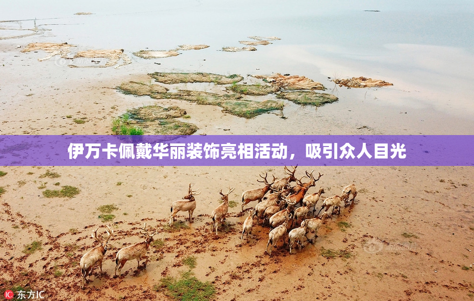 伊万卡佩戴华丽装饰亮相活动，吸引众人目光