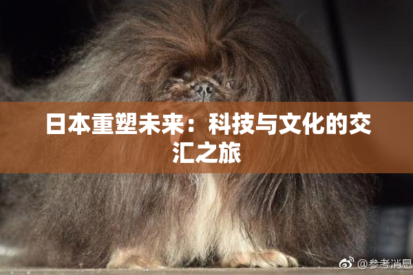 日本重塑未来：科技与文化的交汇之旅