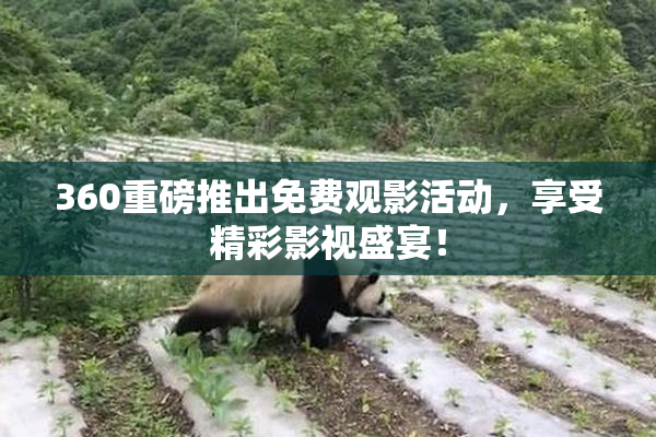 360重磅推出免费观影活动，享受精彩影视盛宴！