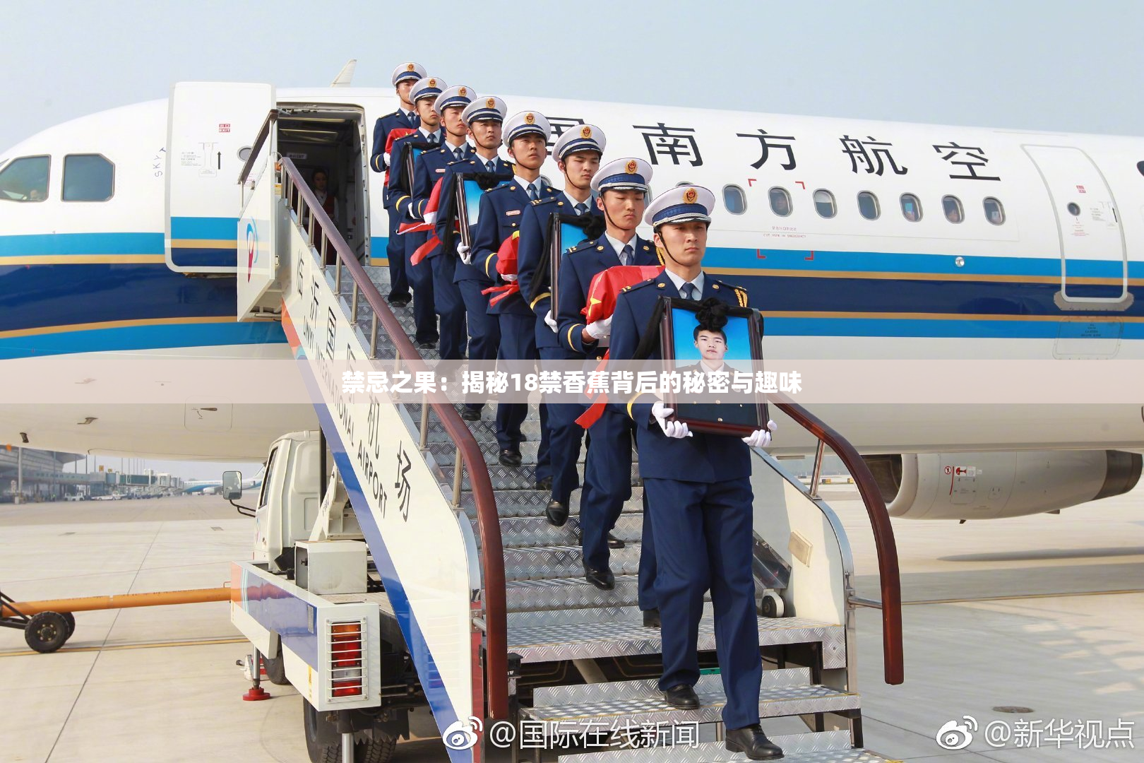 禁忌之果：揭秘18禁香蕉背后的秘密与趣味