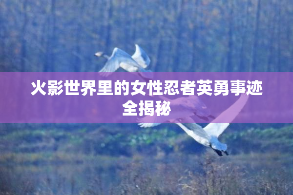 火影世界里的女性忍者英勇事迹全揭秘