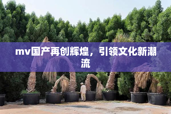 mv国产再创辉煌，引领文化新潮流