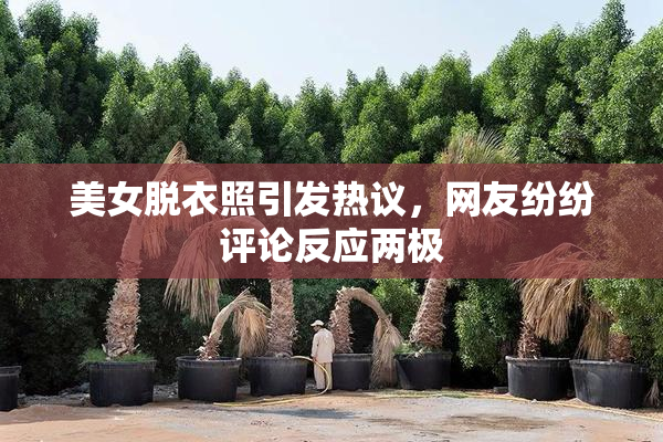 美女脱衣照引发热议，网友纷纷评论反应两极