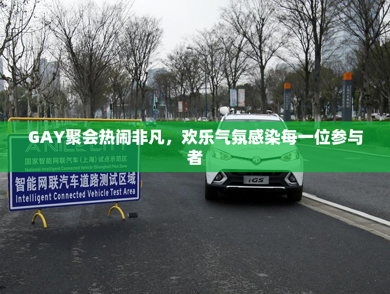 GAY聚会热闹非凡，欢乐气氛感染每一位参与者