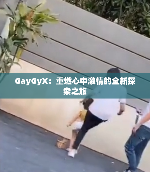 GayGyX：重燃心中激情的全新探索之旅