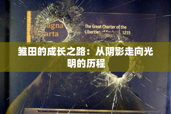 雏田的成长之路：从阴影走向光明的历程