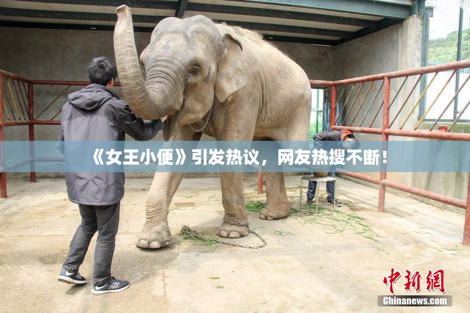 《女王小便》引发热议，网友热搜不断！