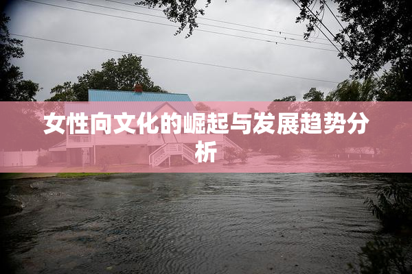 女性向文化的崛起与发展趋势分析