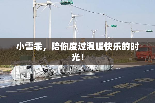 小雪乖，陪你度过温暖快乐的时光！