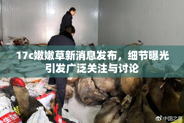 17c嫩嫩草新消息发布，细节曝光引发广泛关注与讨论