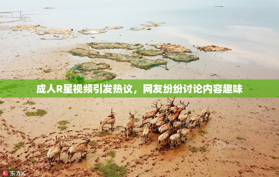 成人R星视频引发热议，网友纷纷讨论内容趣味