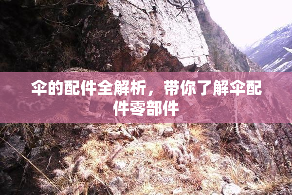 伞的配件全解析，带你了解伞配件零部件