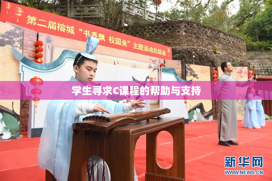 学生寻求C课程的帮助与支持
