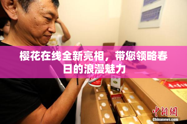 樱花在线全新亮相，带您领略春日的浪漫魅力