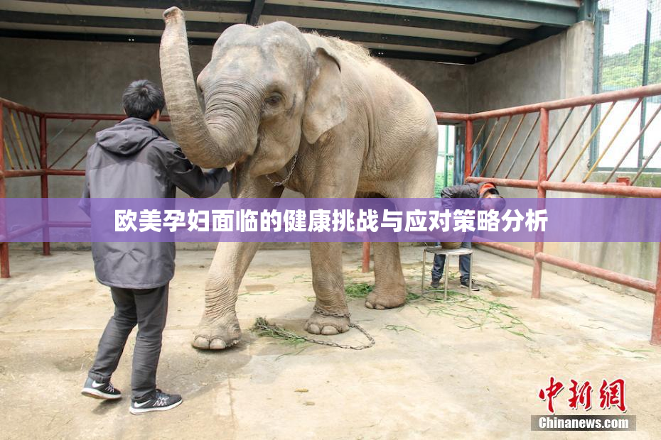 欧美孕妇面临的健康挑战与应对策略分析