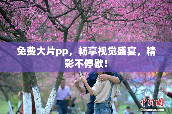 免费大片pp，畅享视觉盛宴，精彩不停歇！