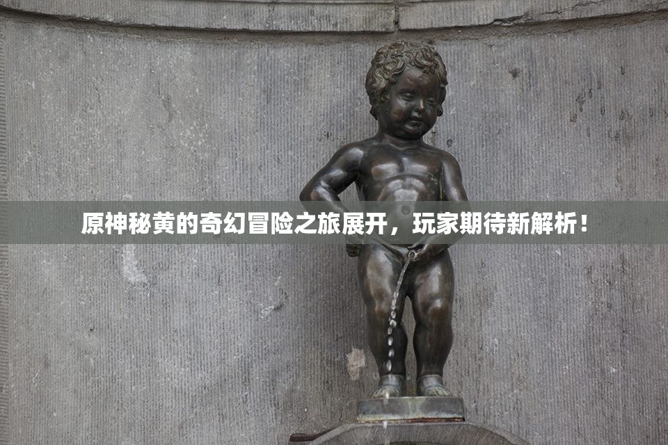 原神秘黄的奇幻冒险之旅展开，玩家期待新解析！