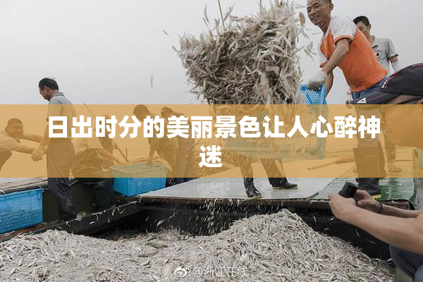 日出时分的美丽景色让人心醉神迷