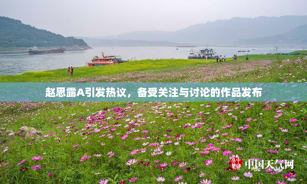 赵思露A引发热议，备受关注与讨论的作品发布