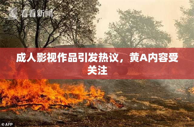 成人影视作品引发热议，黄A内容受关注