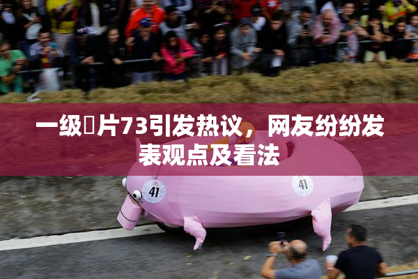 一级婬片73引发热议，网友纷纷发表观点及看法