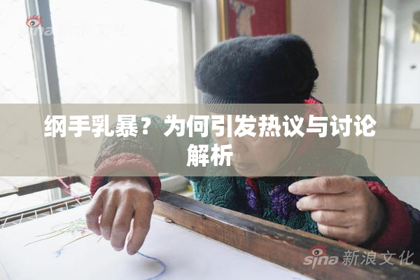 纲手乳暴？为何引发热议与讨论解析