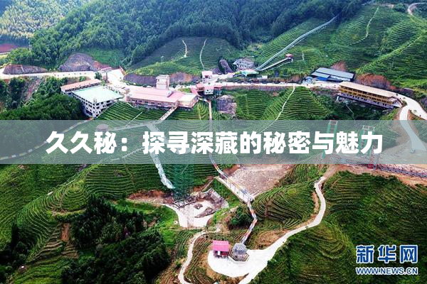 久久秘：探寻深藏的秘密与魅力
