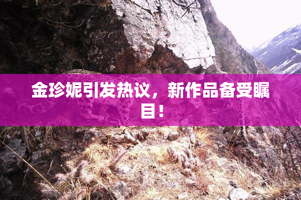 金珍妮引发热议，新作品备受瞩目！