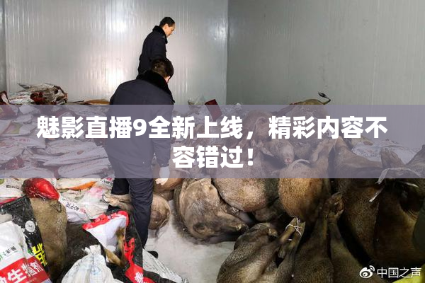 魅影直播9全新上线，精彩内容不容错过！
