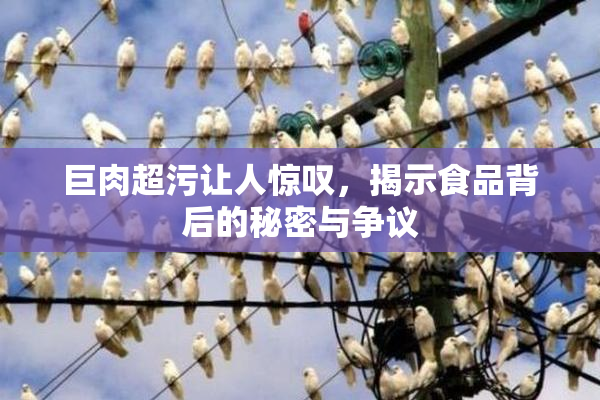 巨肉超污让人惊叹，揭示食品背后的秘密与争议