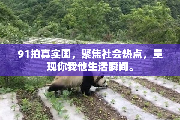 91拍真实国，聚焦社会热点，呈现你我他生活瞬间。