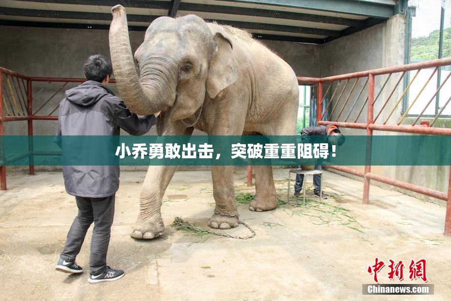 小乔勇敢出击，突破重重阻碍！