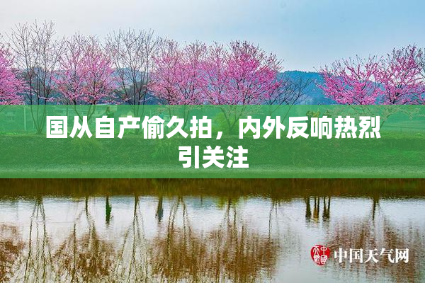 国从自产偷久拍，内外反响热烈引关注