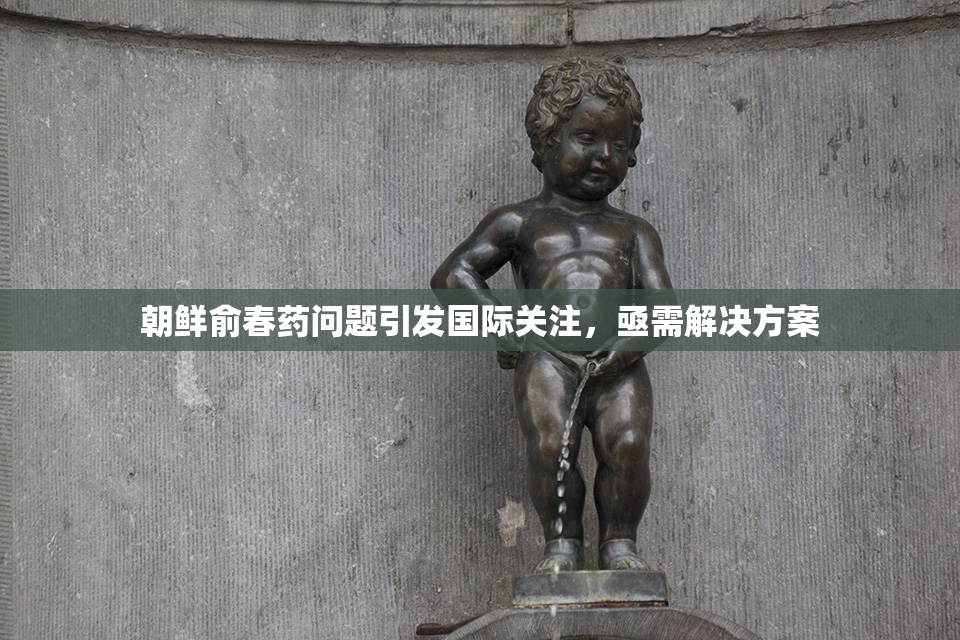 朝鲜俞春药问题引发国际关注，亟需解决方案