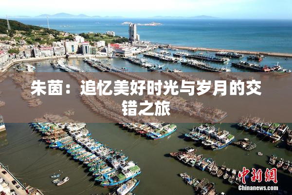 朱茵：追忆美好时光与岁月的交错之旅
