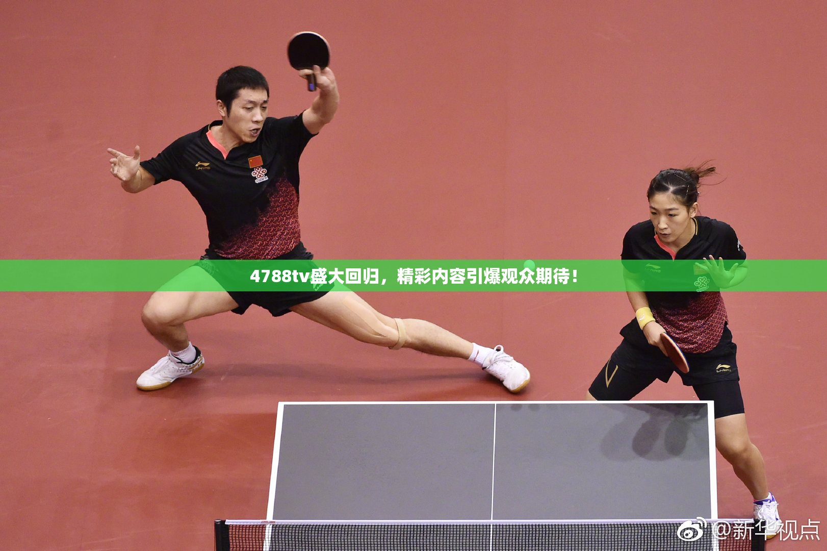 4788tv盛大回归，精彩内容引爆观众期待！
