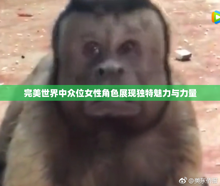 完美世界中众位女性角色展现独特魅力与力量