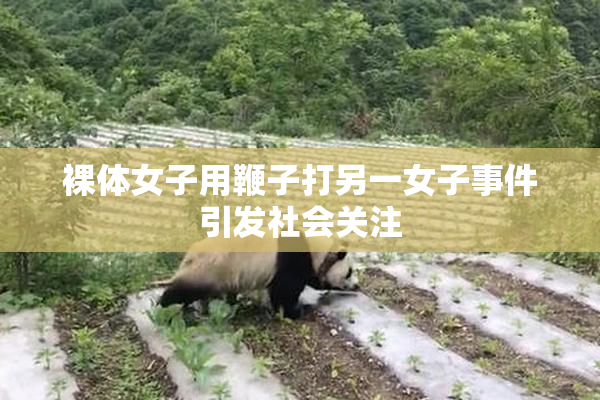 裸体女子用鞭子打另一女子事件引发社会关注