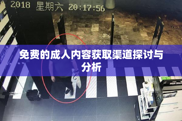 免费的成人内容获取渠道探讨与分析