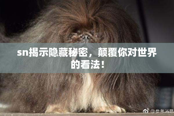 sn揭示隐藏秘密，颠覆你对世界的看法！