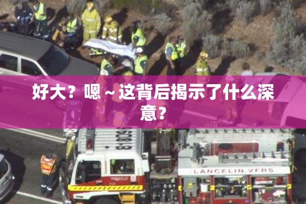好大？嗯～这背后揭示了什么深意？