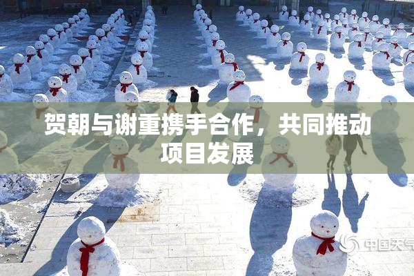 贺朝与谢重携手合作，共同推动项目发展