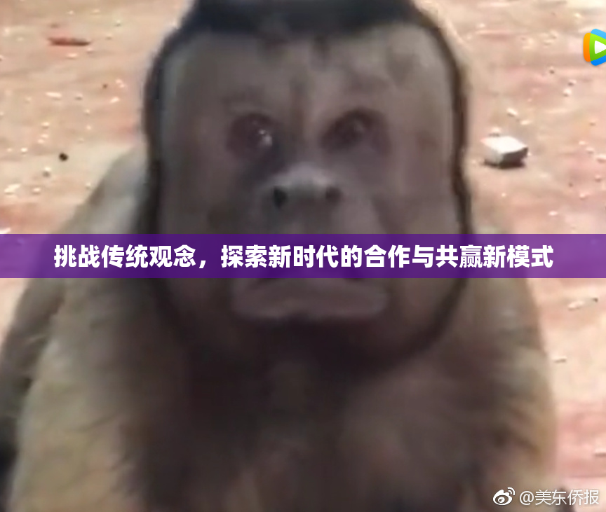 挑战传统观念，探索新时代的合作与共赢新模式