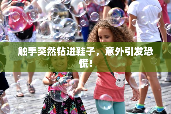 触手突然钻进鞋子，意外引发恐慌！
