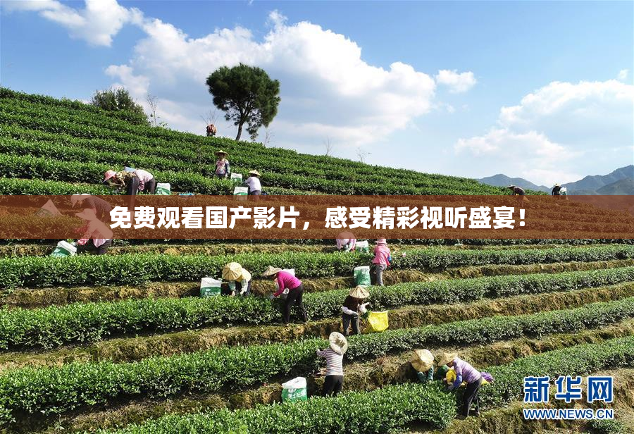 免费观看国产影片，感受精彩视听盛宴！