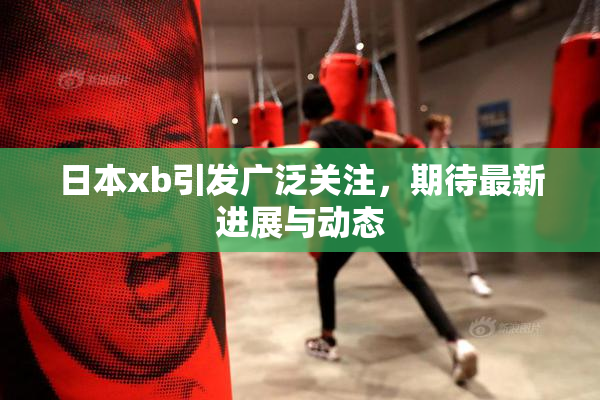 日本xb引发广泛关注，期待最新进展与动态