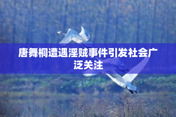 唐舞桐遭遇淫贼事件引发社会广泛关注