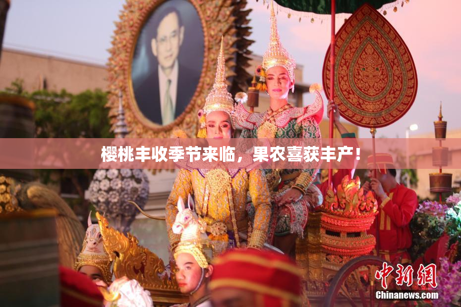 樱桃丰收季节来临，果农喜获丰产！