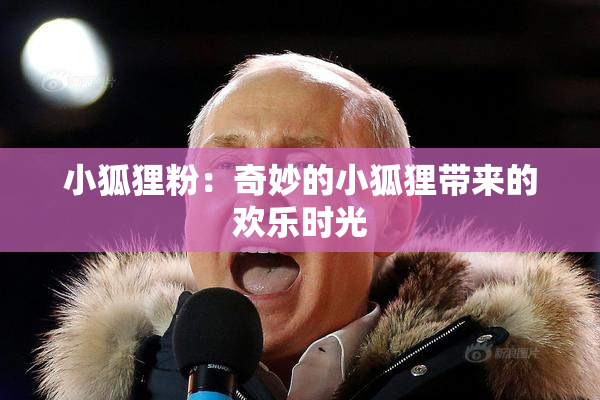 小狐狸粉：奇妙的小狐狸带来的欢乐时光