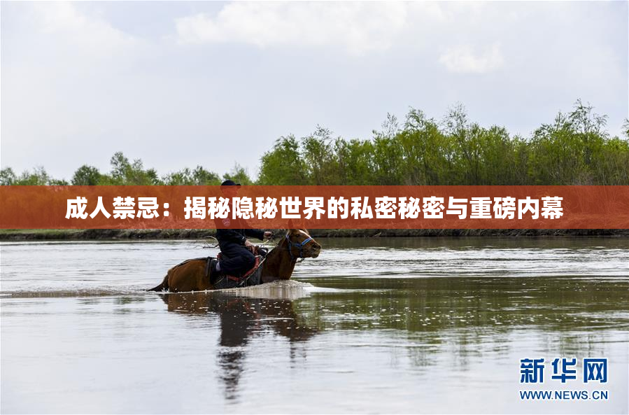 成人禁忌：揭秘隐秘世界的私密秘密与重磅内幕